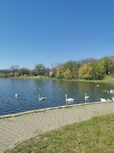 Lacul Neptun I