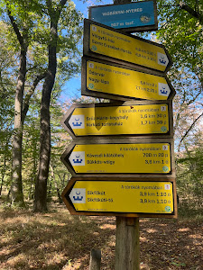 Kövesdi-kilátó — fotografia 3