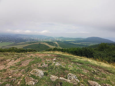 Virágos-nyereg — fotografia 4