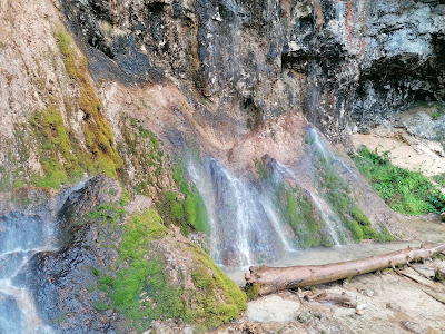 Cascada Pișoaia — fotografia 3