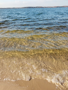 Dzika Plaża — fotografia 5
