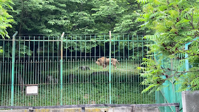 Zoo Sibiu — fotografia 2