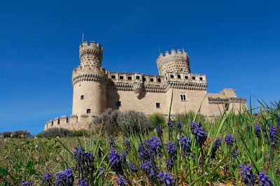Cuenca Alta del Manzanares Regional Park — fotografia 4