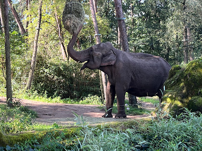Burgers' Zoo — fotografia 4