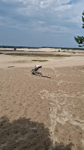 Uitkijkpunt Loonse & Drunense Duinen — fotografia 4