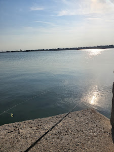 Lacul Cernica — fotografia 5