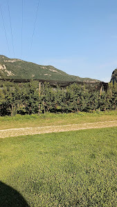 Agricampeggio L'albero delle mele — fotografia 2