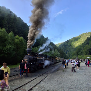 Stația Glimboaca CFF Mocăniță