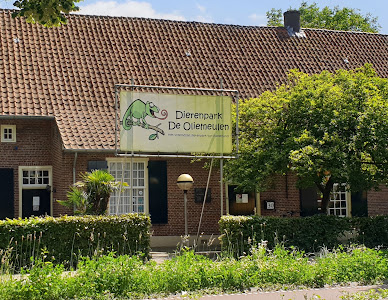 Zoo De Oliemeulen — fotografia 3