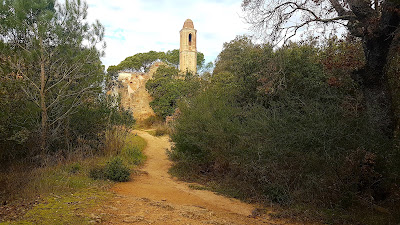 Parc del Montnegre i el Corredor — fotografia 5