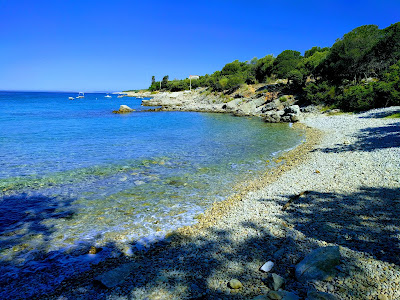 Camping Dražica — fotografia 5