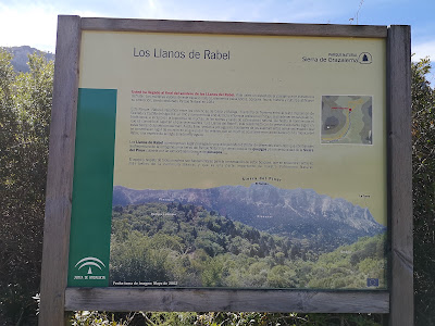 Sendero de Los Llanos de Rabel — fotografia 4