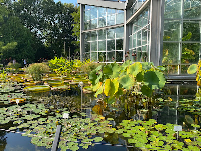 Palmengarten — fotografia 5