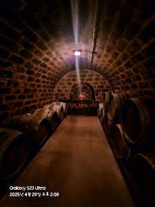 Benkő Cellar — fotografia 3