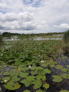 Lacul Solomon