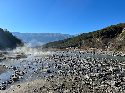 Fir of Hotova-Dangëlli National Park — fotografia 5