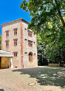 Schloss Schönborn Heusenstamm — fotografia 4