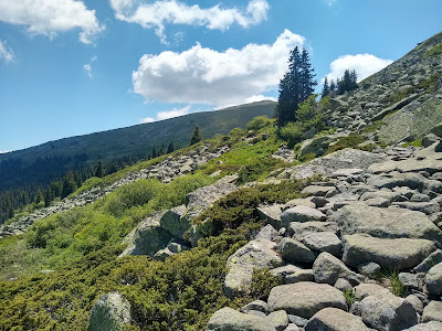 Vitoșa — fotografia 3