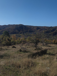 Belvedere Poiana Vărbilău