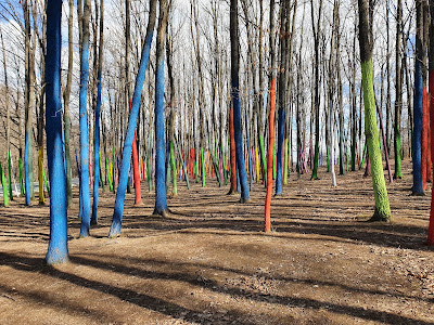 Pădurea Colorată — fotografia 3