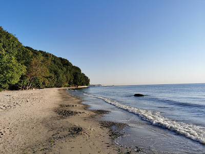 Plaża publiczna Redłowo