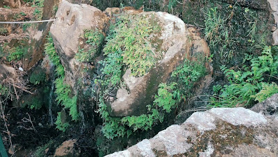 Καταρράκτες Πέτρας — fotografia 2
