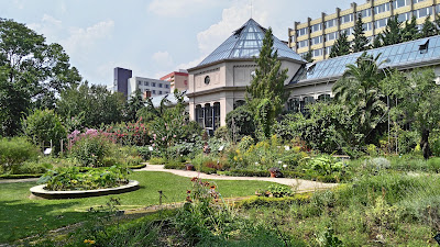 ELTE Füvészkert — fotografia 3