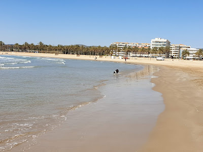 Platja d'Adarró — fotografia 4