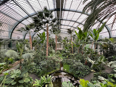 Palmengarten — fotografia 4