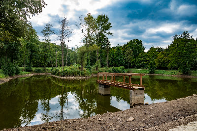 Váraljai parkerdő — fotografia 5
