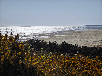 Groene Strand