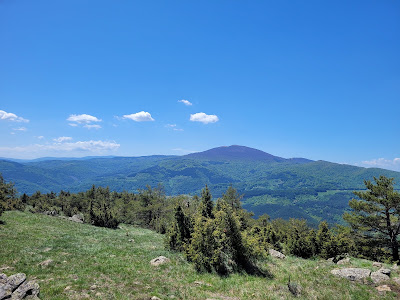 Goč