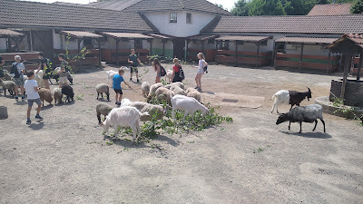 Zoo Park Vyškov — fotografia 3
