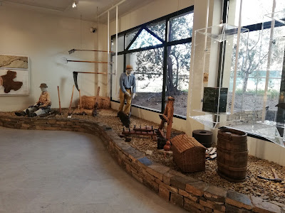 Museo dell’Olivo Carlo Carli — fotografia 3
