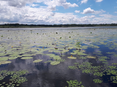 Tisza-tavi csónak túra - HÓD vízitúra Tisza-tó — fotografia 4