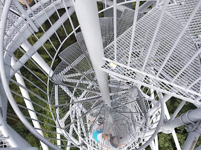 Observation tower Cow Mountain