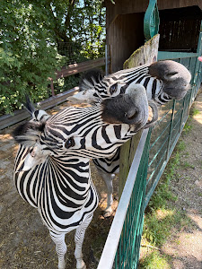 Tierpark Altenfelden — fotografia 4