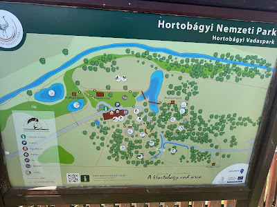 Hortobágy Wild Animal Park — fotografia 4