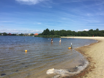 Arendshof-Camping — fotografia 5