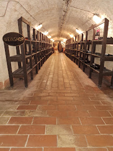 Wine Museum — fotografia 4
