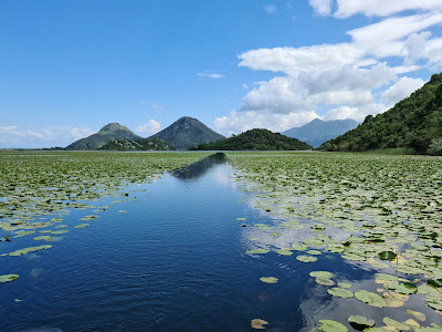 Lacul Scutari — fotografia 4