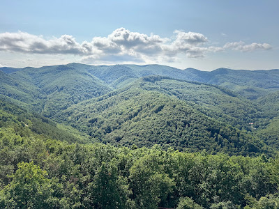 Millennium Lookout — fotografia 3