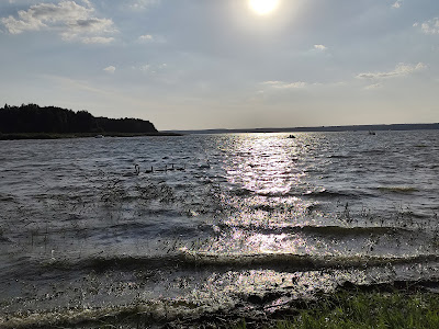 Plaża Tresta — fotografia 4