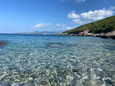 Plaža Žukovica