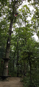 Rope Park Rewal Gibbon — fotografia 4