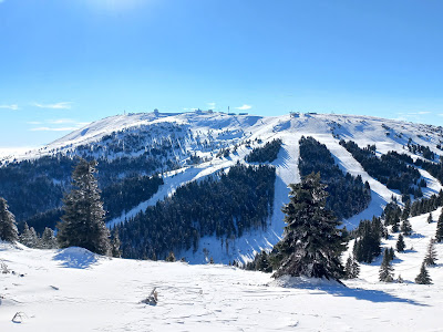Kopaonik National Park — fotografia 4