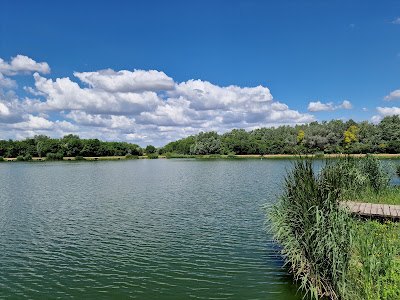 Palotavárosi-tavak