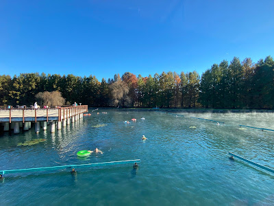 Thermal Lake of Hévíz — fotografia 5