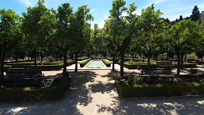 Jardines de Pedro Luis Alonso — fotografia 5
