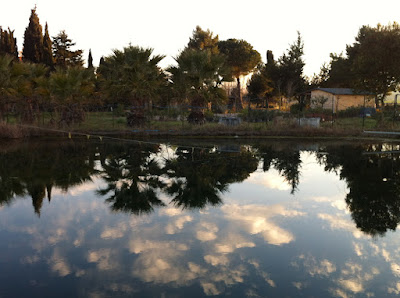 Agricampeggio Tognoni - Glamping — fotografia 5